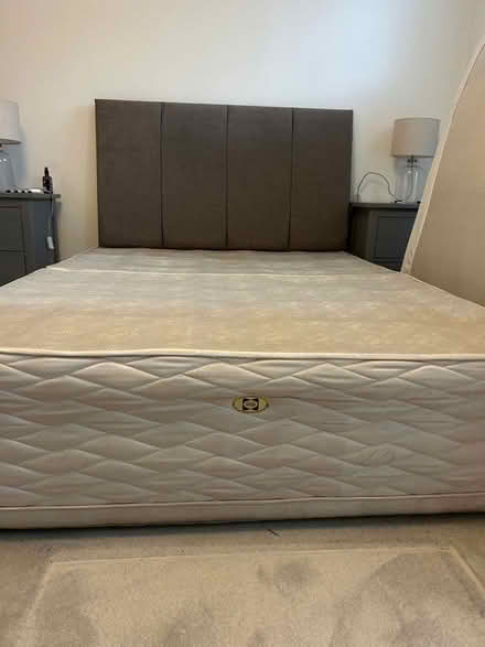 Photo of free Double Bed (Twickenham TW2) #1