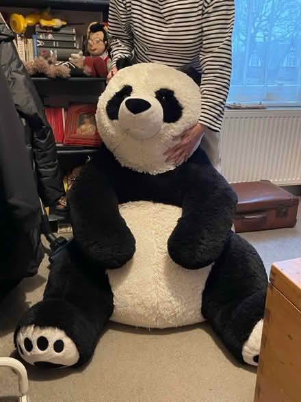 Photo of free Giant Panda soft toy (Knutsford) #1