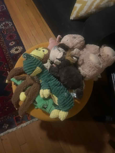 Photo of free Dog toys (sans squeakers!) (Petworth) #1