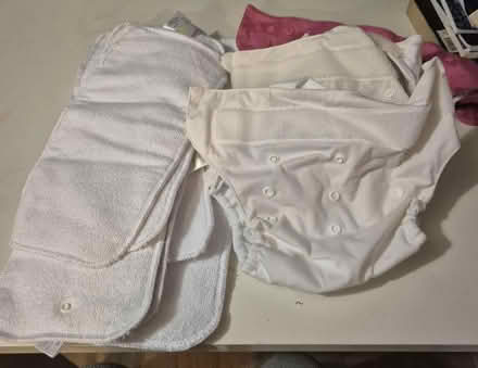 Photo of free Bumgenius nappies and liners (BR8) #2