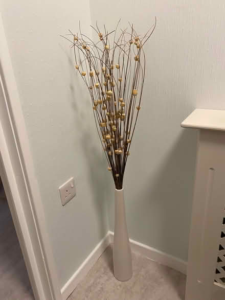 Photo of free Tall Vase (Bracknell Forest RG12) #1