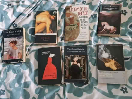 Photo of free Eng Literature Books GCSE/A Level (Ashford TW15) #1
