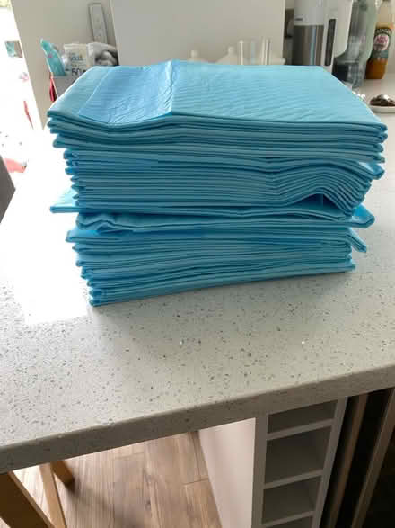 Photo of free 22 disposable bed mats (Billericay) #1