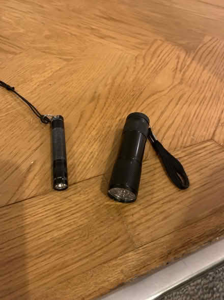 Photo of free Torches (Montpelier Road area BN3) #1