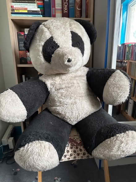 Photo of free Large soft toy panda (North Halifax) #1