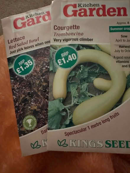 Photo of free Veg seeds (Starbeck HG1) #3