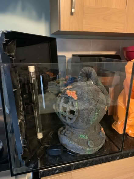 Photo of free Vases and fishtank (Crofton Wakefield) #1