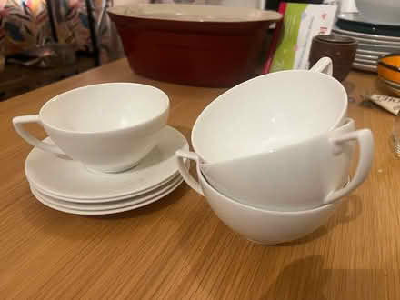 Photo of free Jasper Conran cups and saucers (Catford) #1