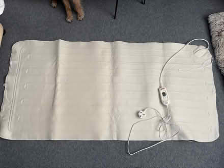 Photo of free Single electric blanket (Chapel Row RG7) #1