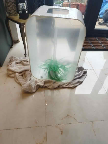Photo of free Biorb fish tank (Hanworth TW13) #1