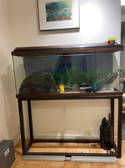 Photo of free Fish tank (Battery park city) #1