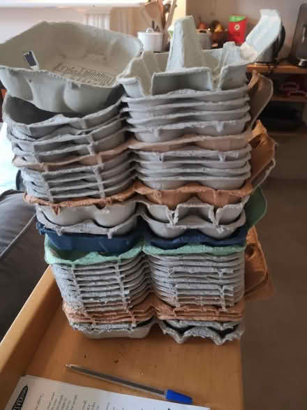 Photo of free eggholders (N5) #1