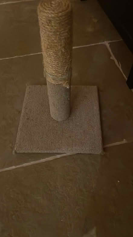 Photo of free Cat scratching post (Doddington ME9) #1