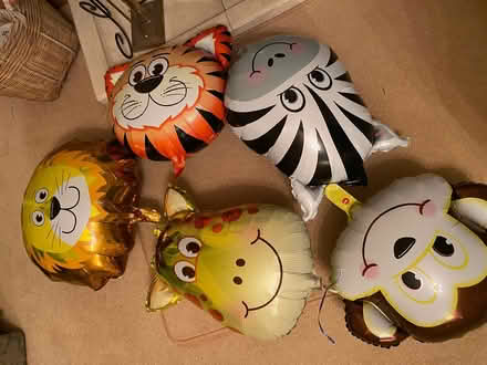 Photo of free animal party balloons (Hartfield TN7) #1