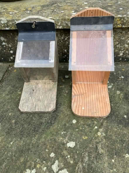 Photo of free Red squirrel feeders (CA6 (near airport)) #1