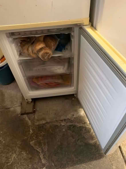 Photo of free LG Fridge Freezer (Presteigne LD8) #3