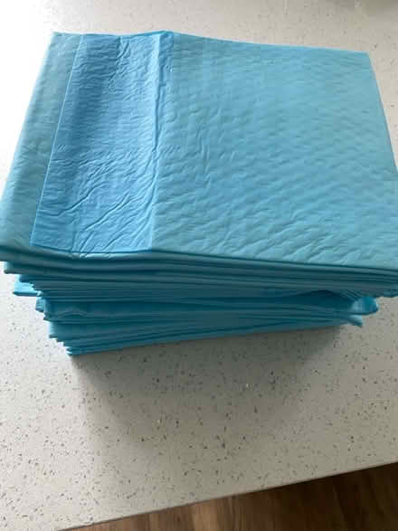 Photo of free 22 disposable bed mats (Billericay) #2