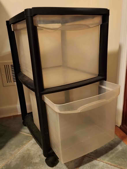 Photo of free File cart & long storage tub (Washington Ave) #1