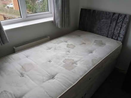 Photo of free Single divan bed with headboard (NR7) #1