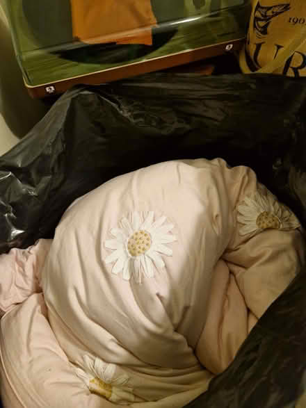 Photo of free Single duvet & duvet cover (Stanstead CO10) #1