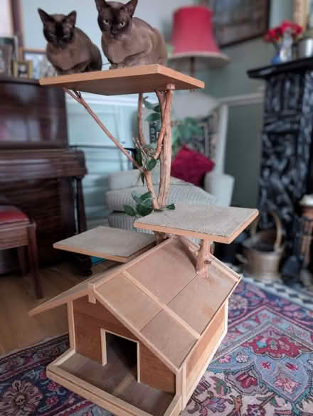 Photo of free Solid wood Cat Tree (Neasden NW10) #1