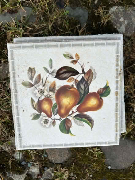 Photo of free 21 tiles (Helsington LA8) #4