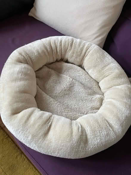 Photo of free Cat bed donut (Mount Florida G42) #1