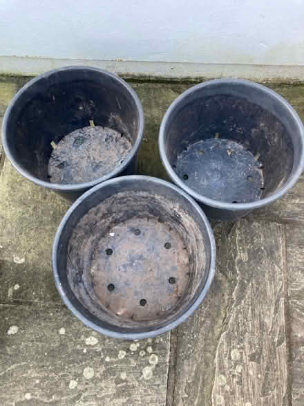Photo of free Large plant pots (CA6 (near airport)) #2