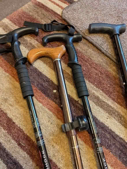 Photo of free Walking sticks (Bradford on Avon BA15) #1