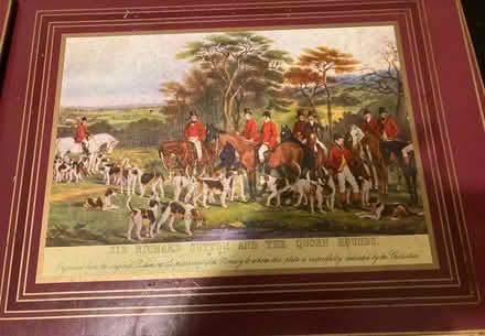 Photo of free Horse table mats (Rochester ME1) #4