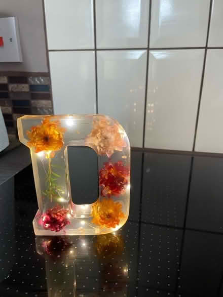 Photo of free Initial D Flower 🪔 (Southgate RH11) #1