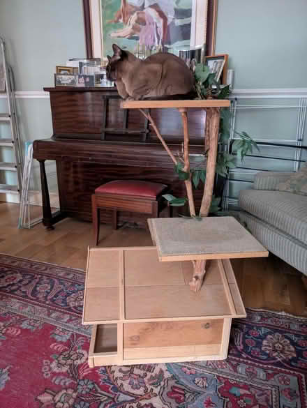 Photo of free Solid wood Cat Tree (Neasden NW10) #2