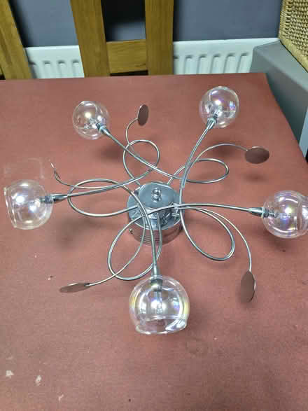 Photo of free Ceiling light (Telford) #1