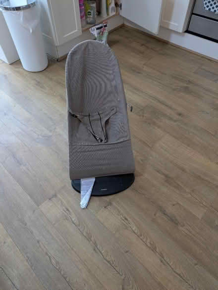 Photo of free Baby Bjorn bouncer (Bengeo) #1