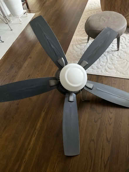 Photo of free Ceiling fan (Lindridge Martin Manor) #1