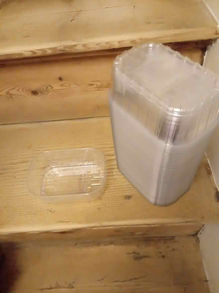 Photo of free Approx. 50 New Plastic Punnet Trays. (Kendal LA9) #1