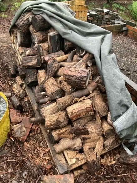 Photo of free Logs (Chad Valley B16) #1