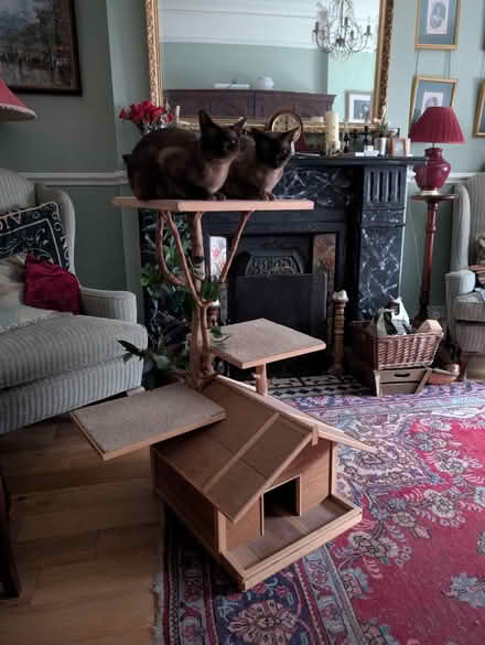 Photo of free Solid wood Cat Tree (Neasden NW10) #3
