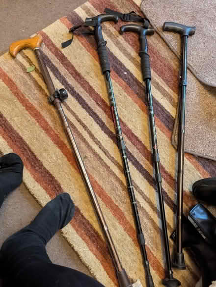 Photo of free Walking sticks (Bradford on Avon BA15) #4