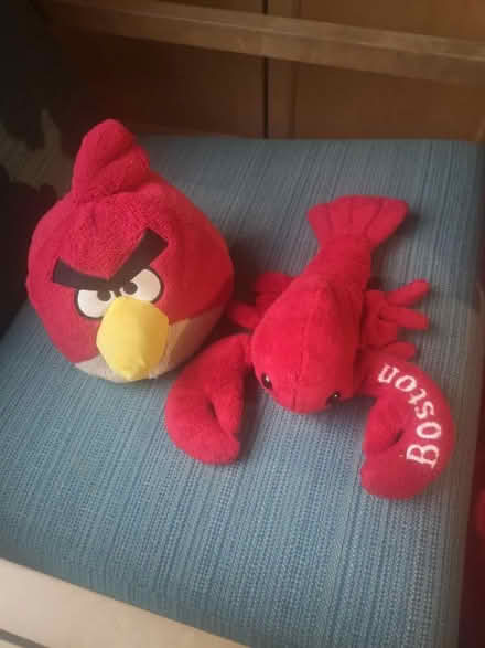 Photo of free Soft toys (Headington OX3) #1