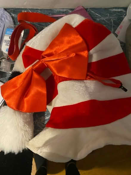 Photo of free Cat in the hat costume (Clanfield PO8) #1