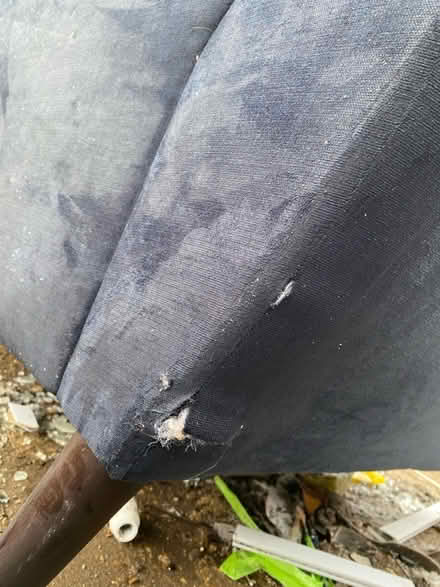 Photo of free Blue velvet 2 seater sofa (Ig88ey) #3