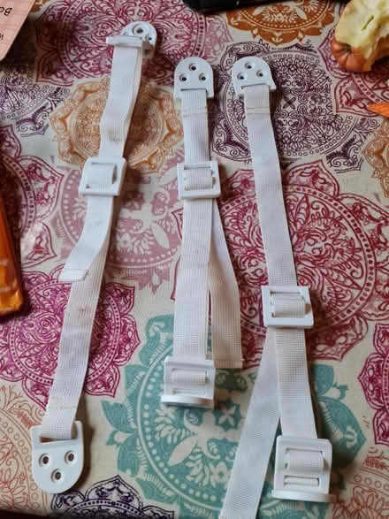 Photo of free Straps - child safety (Lancaster freehold) #1