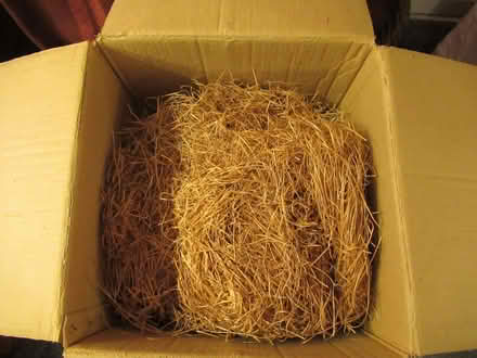 Photo of free Wood wool (Kelsall CW6) #1