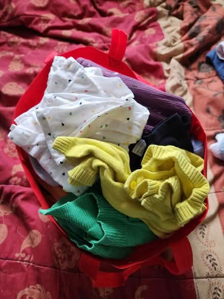 Photo of free Bag of baby girl clothes, 6-12m (Kingman Park) #1