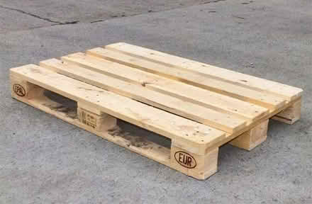 Photo of free Euro Pallet (Bear Flat) #1