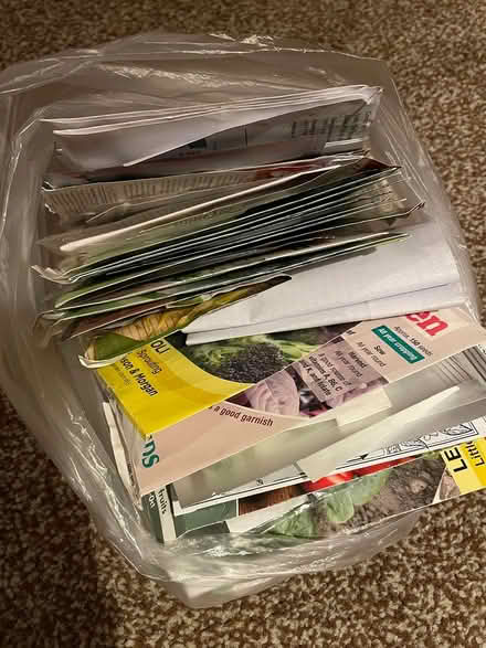 Photo of free Flower, veg & fruit seeds (M25 Prestwich) #1