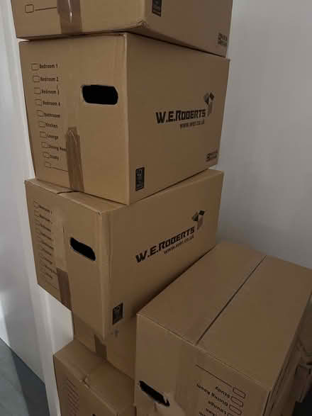 Photo of free Moving boxes (SG7) #1