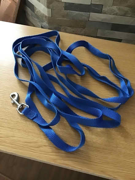 Photo of free Unused long training lead (Bedfont) #1