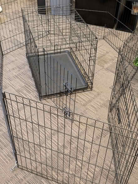 Photo of free Collapside small dog cage with gated fence (West End EH3) #2